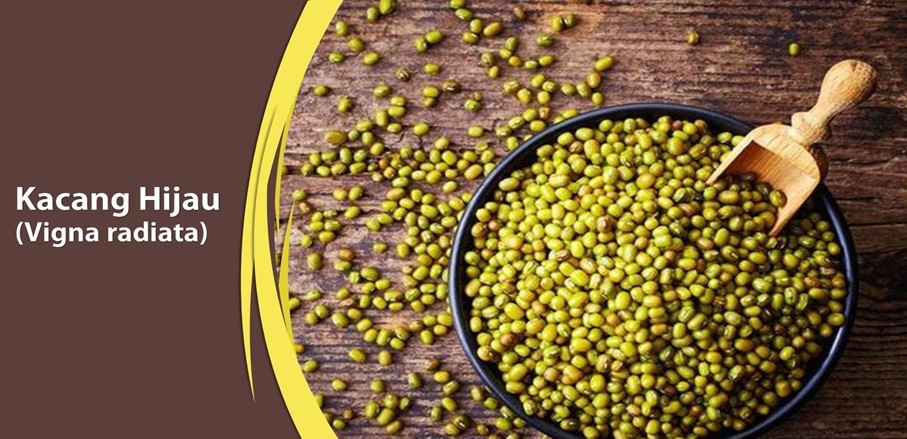 Kacang Hijau Kaya Akan Vitamin Kacang Hijau Kaya Akan Vitamin